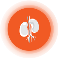 doctor portal img